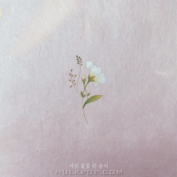 INSE – Dear Little Flower – Single