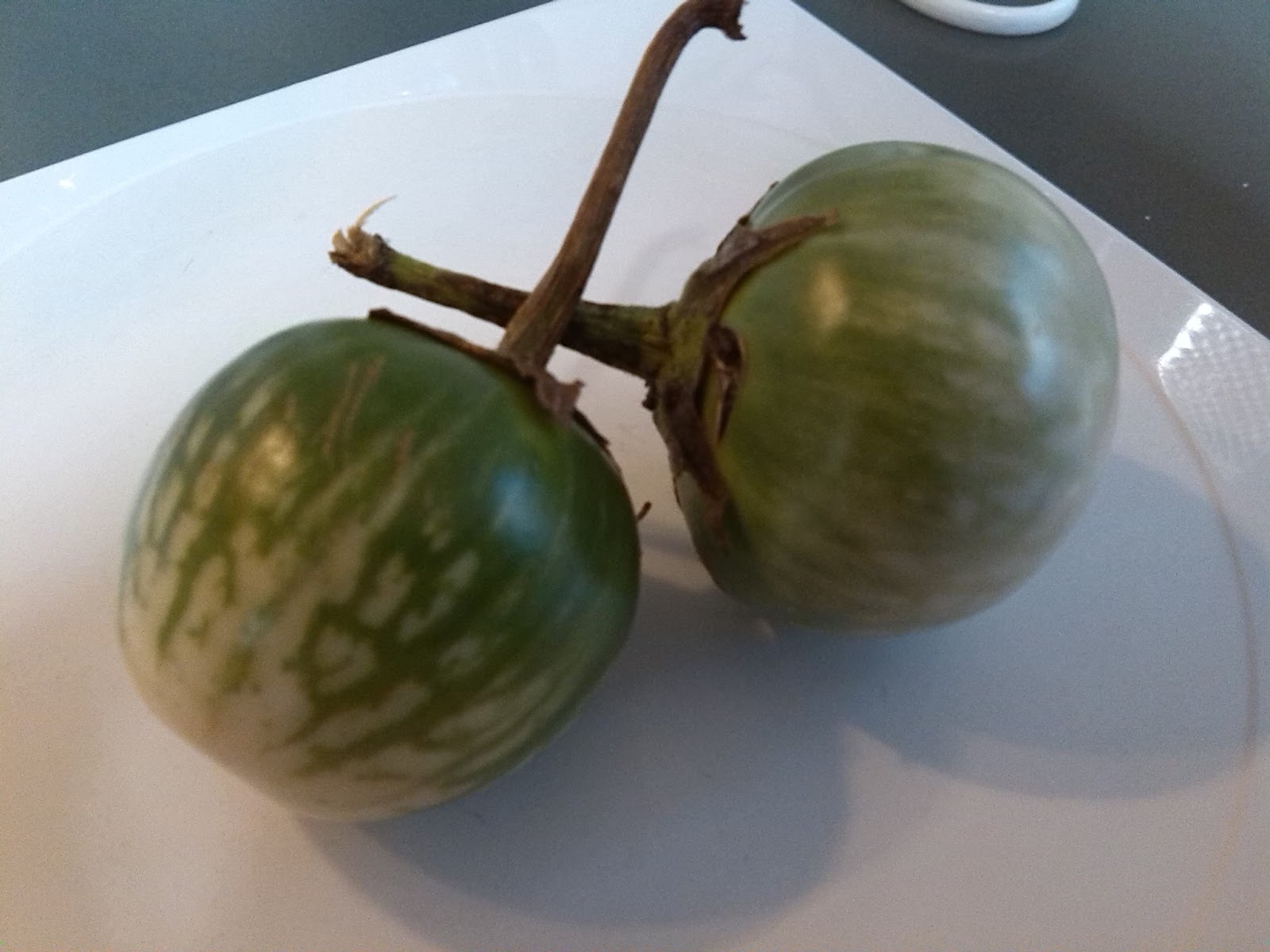 Karin's Recipes and Random Musings: Thai Green Eggplant Curry