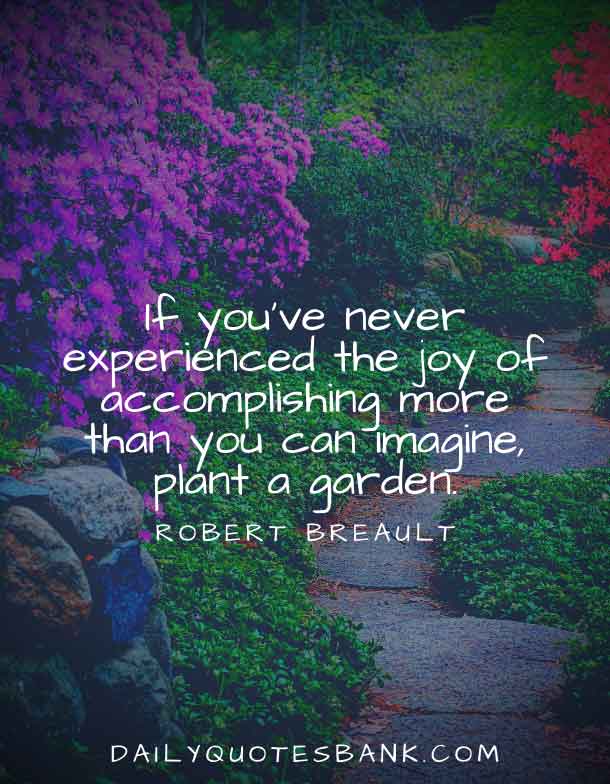 170 Inspirational Quotes About Gardens and Life Lessons
