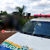 CRUELDADE: Mulher é assassinada a pauladas e jogada em terreno baldio