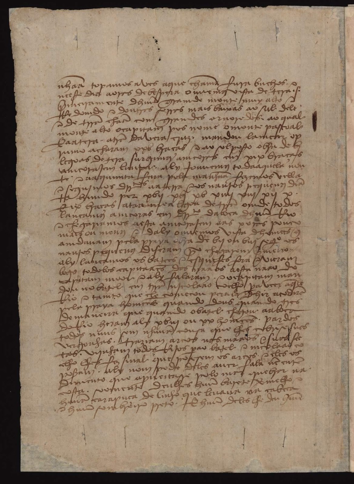 Professora Carta de Pero Vaz de Caminha