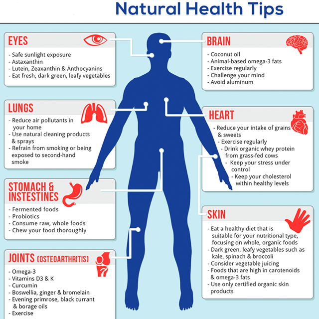 Medical Sanjay...Eat Smartly Stay Healthy! Healthy Organs