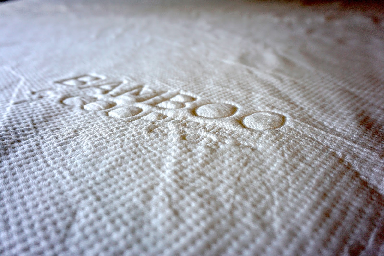 Ultra Luxe Bamboo Mattress Pad Protector Cover by Coop Home Goods ALL