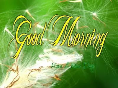 Good Morning Images Good Morning Images