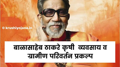 balasaheb krushi vyavsay v gramin parivartan prakalp