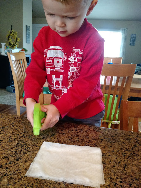 Kid Science: Growing Seeds In A Bag--Learn about how seeds grow!  A great activity to do at home with the kids or for a pre-K thru 1st grade lesson.