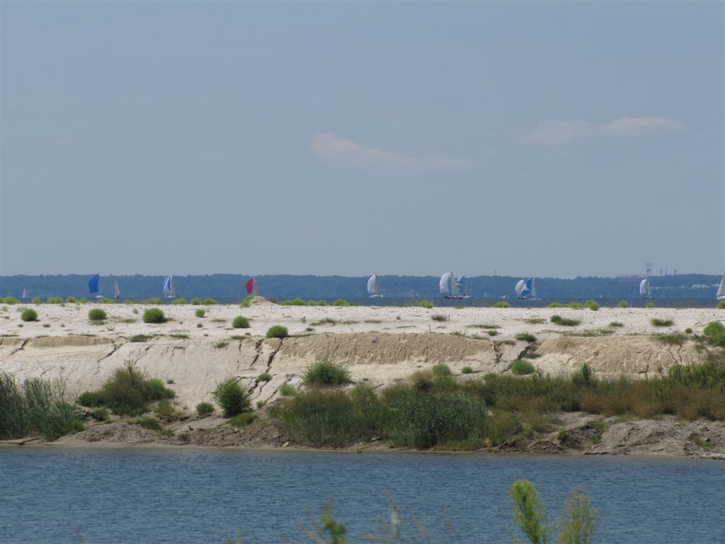 Viewing nature with Eileen Birding Poplar Island, Md