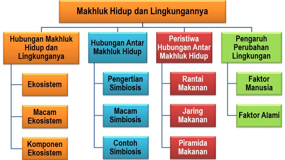 Makhluk Hidup dan Lingkungannya ~ Agus Arifin Anwar