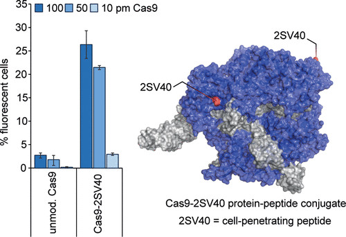 Статья с нобелевским лауреатом acs,chemistry,nobel