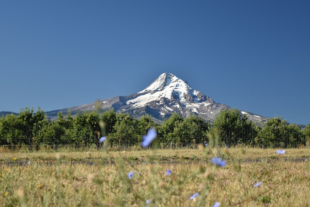 Mount Hood