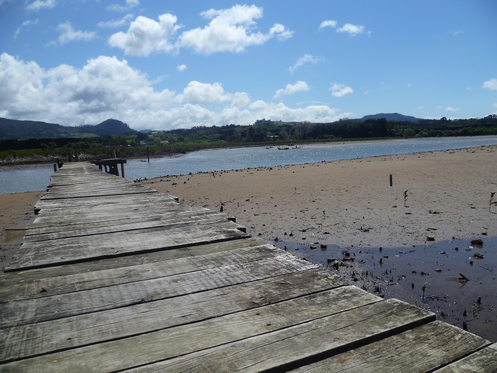 Isi goes to New Zealand Katikati