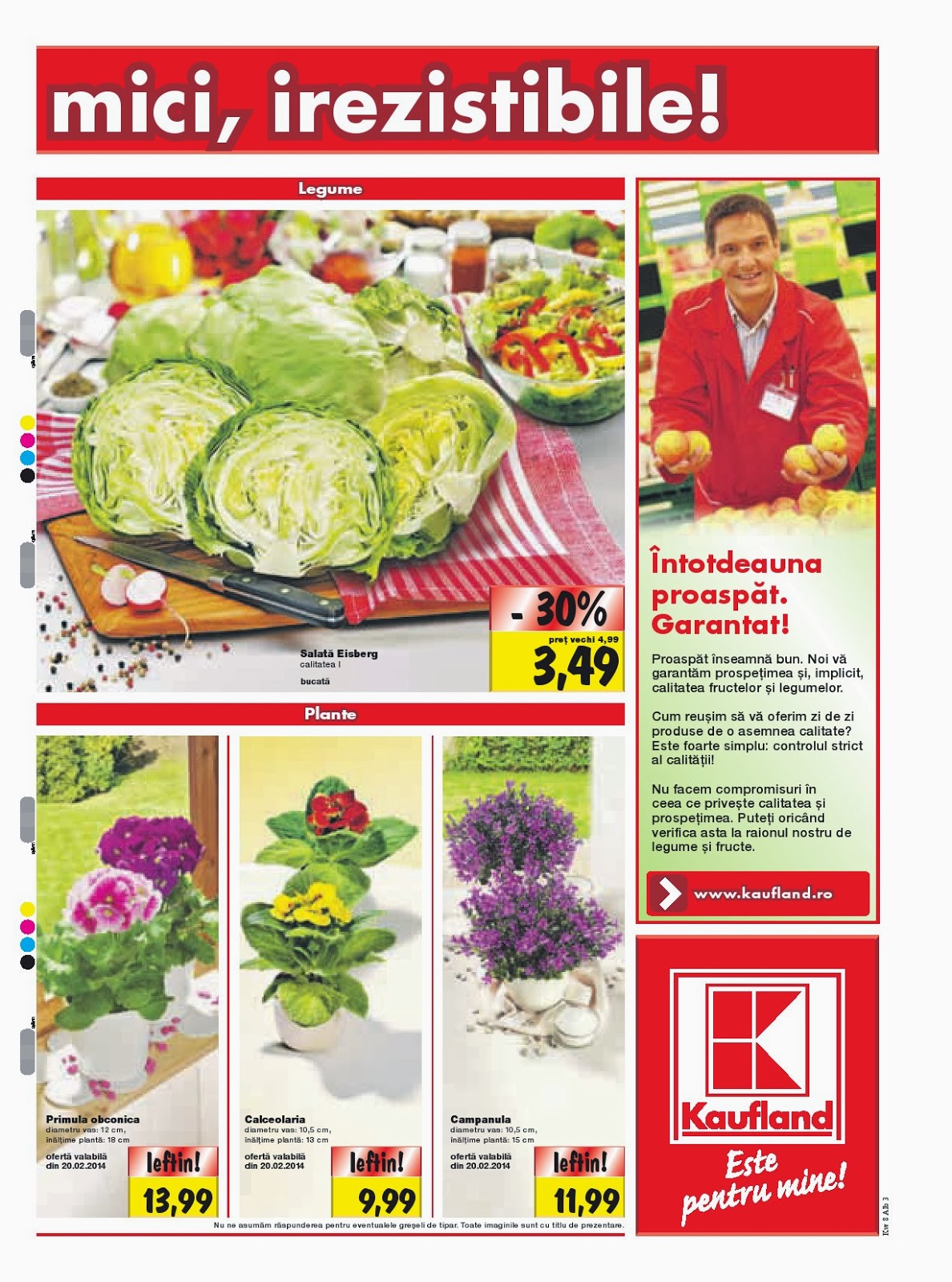 Doar Super Oferte Pliant reduceri Kaufland Alba Iulia Februarie 2014
