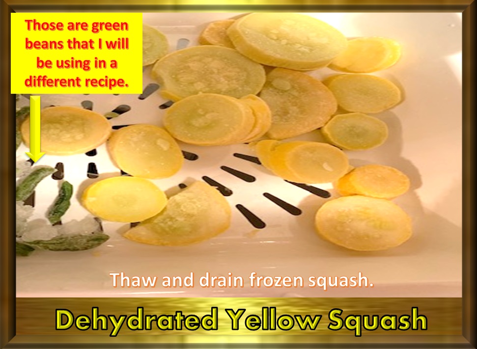 Animal, Nature, and Travel Tastebud Journey Dehydrated Yellow Squash