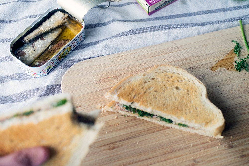 Sardine Fish Meal and Its Health Benefits for Body Indonesia Milkfish