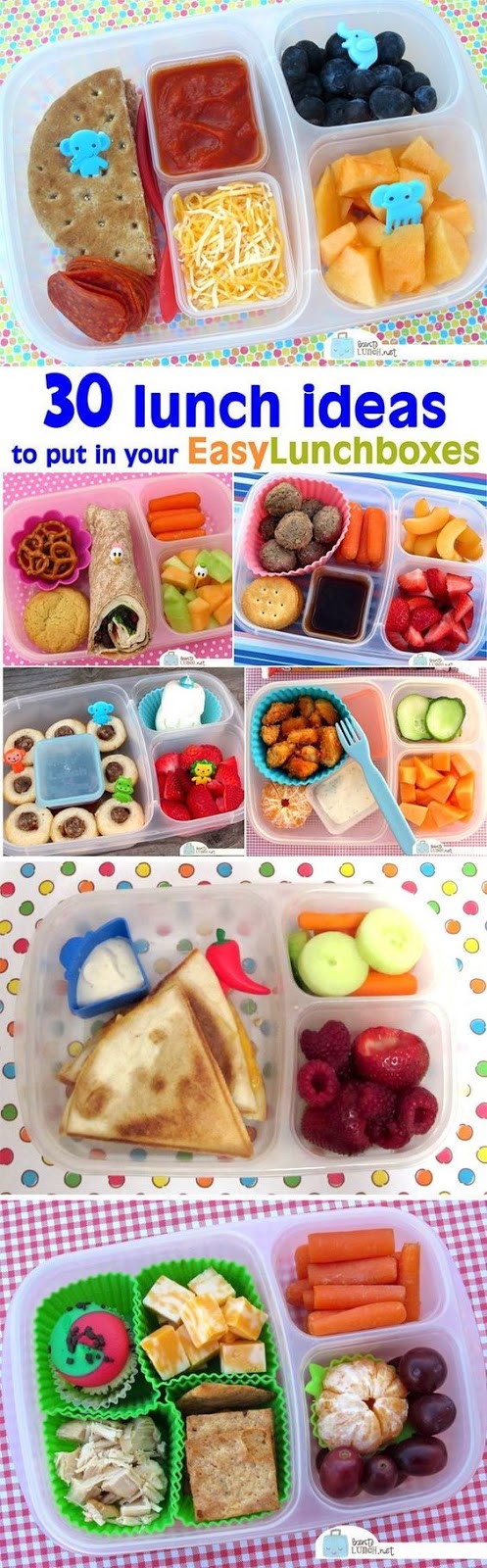 Conquer Lunch With 10+ Quick and Easy Lunch Box Ideas