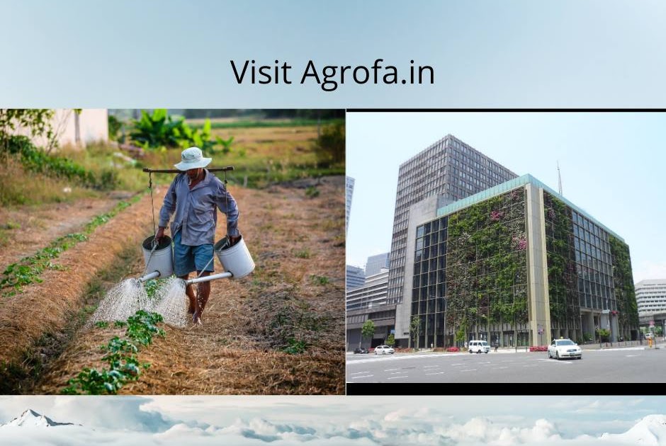 Best Agriculture Business Idea For you