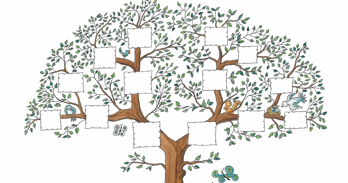 Генетика деревьев. Генеалогическое дерево. Генеалогическое Древо шаблон. Дерево для семейного древа. Красивое дерево для родословной.