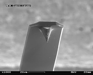 800px-AFM_used_cantilever_in_Scanning_Electron_Microscope_magnification_1000x.jpg