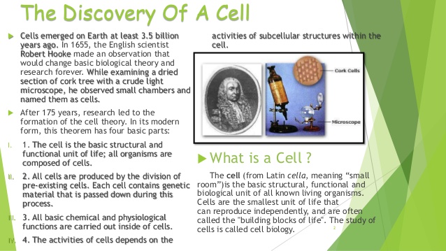 Cell The Basic Unit Of Life cell-the-basic-unit-of-life
