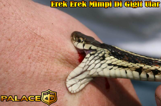 900+ Gambar Erek Erek Ular Gratis 900+ Gambar Erek Erek Ular Gratis