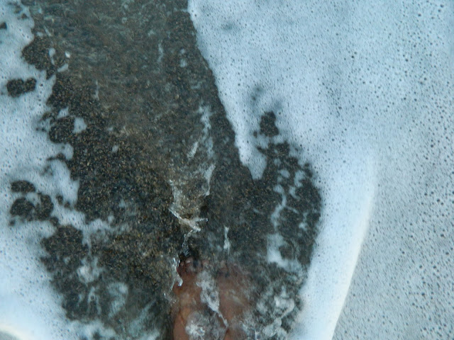 Receding waters of East Japan Sea in Gyeongju