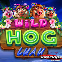 RTG’s New ‘Wild Hog Luau’ Hula-Dances to Intertops Casino With an Intro Bonus that Includes 50 Free Spins