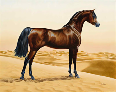 صور حصان