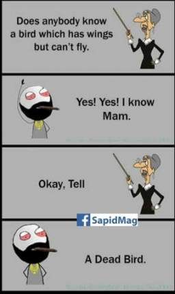 superb status for whatsapp in english