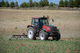 Harrowing sunflowers