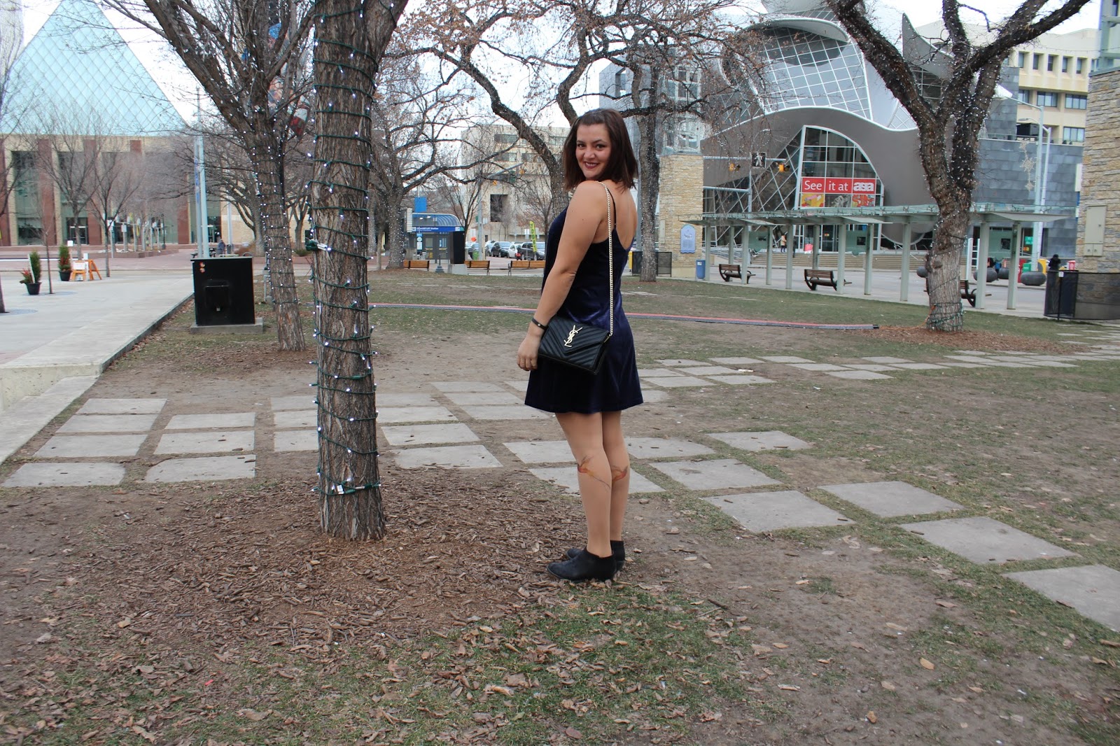 dynamite velvet dress