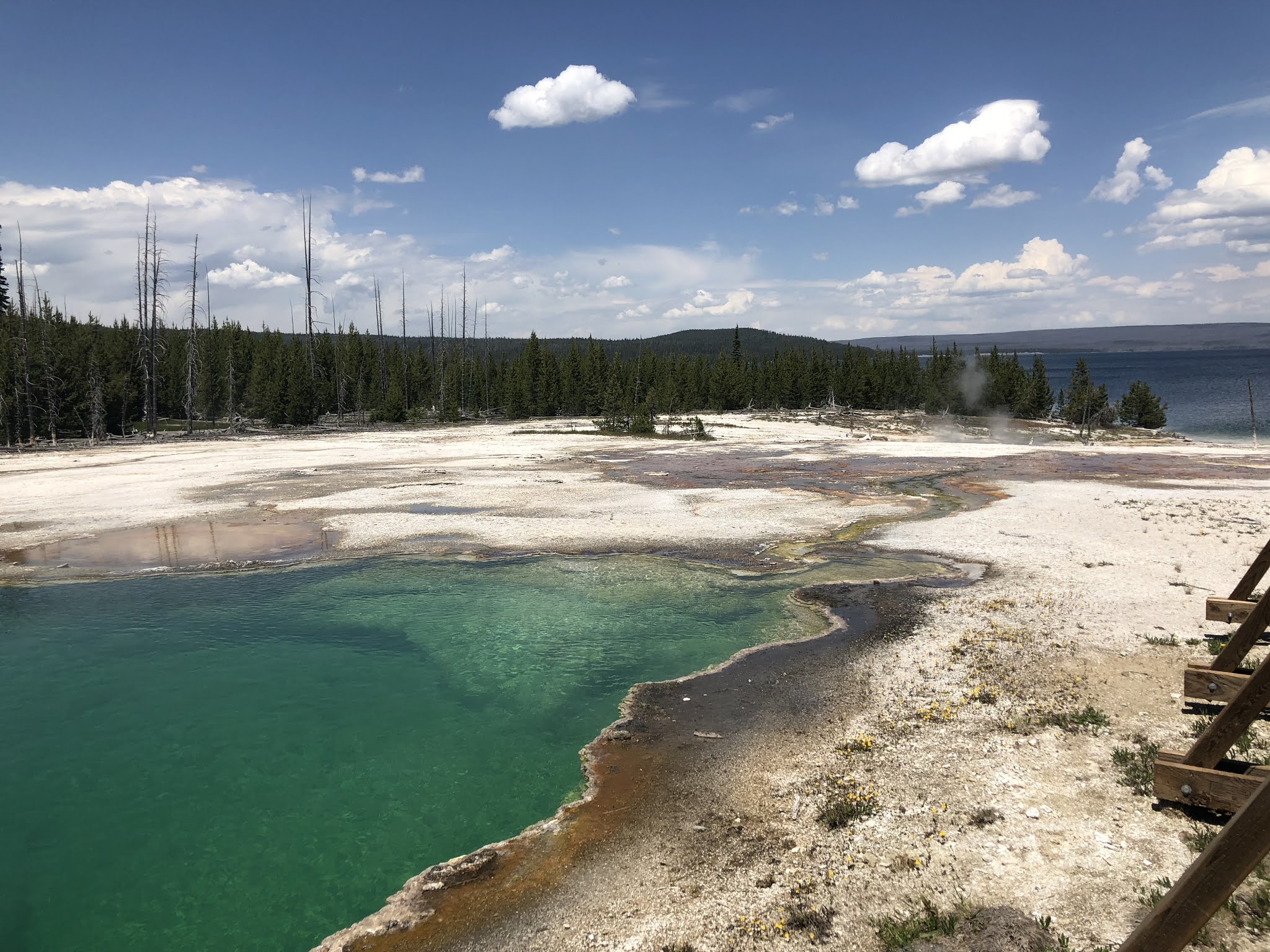 Life's Sweet Journey 7 Tips and Tricks for Visiting Yellowstone