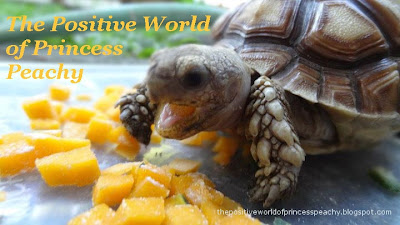 The Positive World Of Princess Peachy, The Happy Sulcata Tortoise