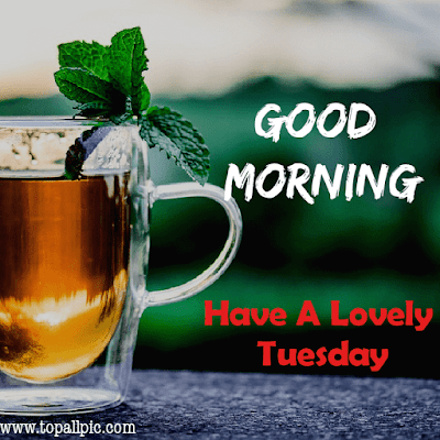 good morning tuesday images good morning tuesday images