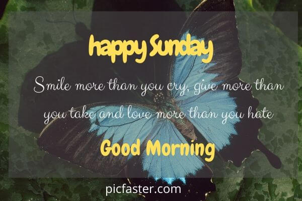 Best Good Morning Happy Sunday Ideas On Pinterest Good