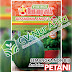 Kisah Petani Meraup Keuntungan Bersih 27 JUTA dalam waktu 2 bulan dari Menanam Semangka Non Biji