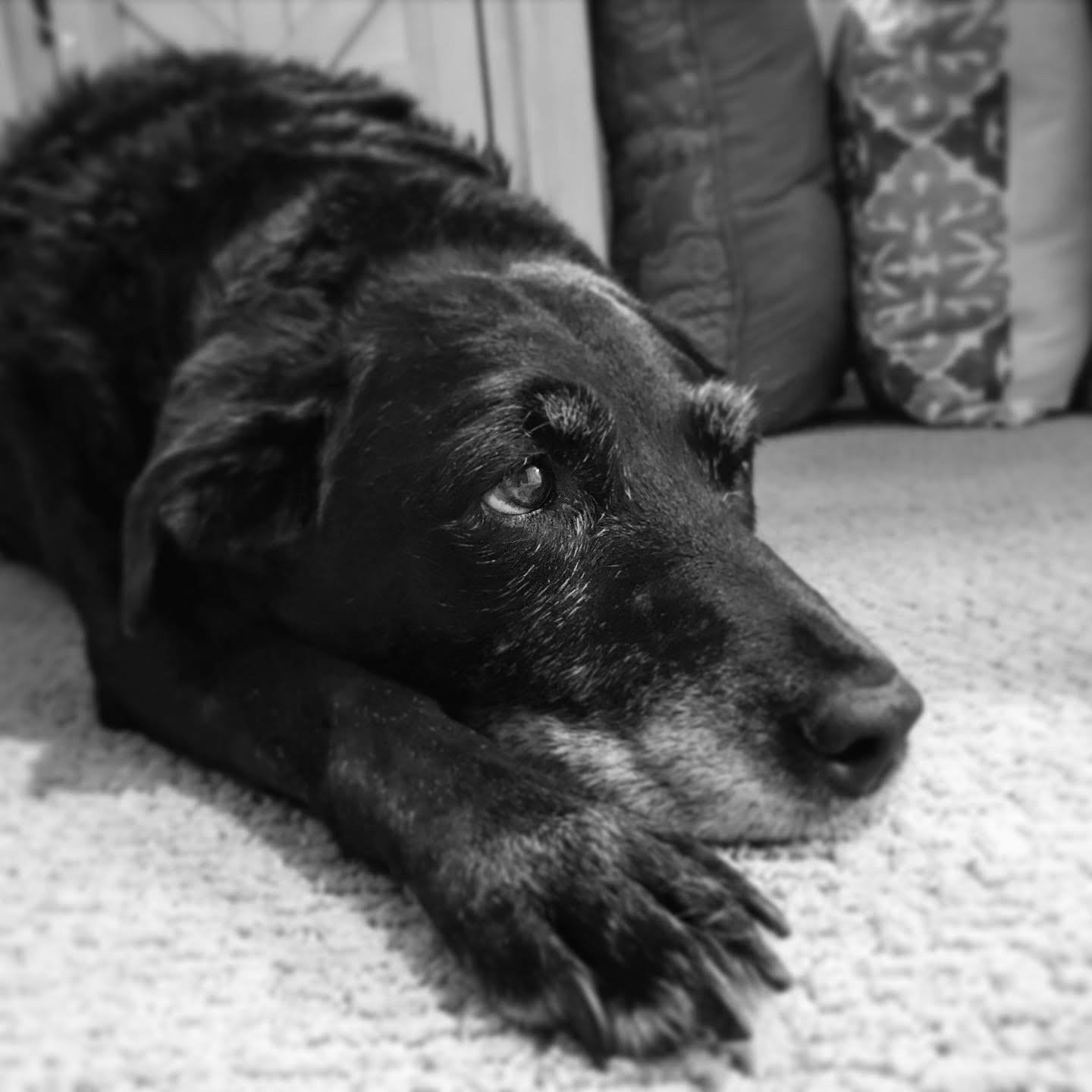 Licking Rocks Mommy Stories