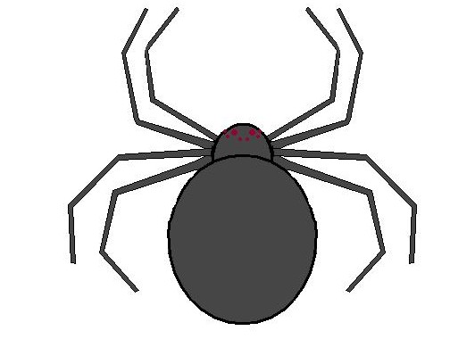 The Daily Entomologist Halloween Spiders The Daily Entomologist Halloween Spiders