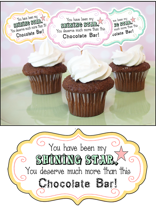 Cupcake Muffin Liners - Glossy Shiny