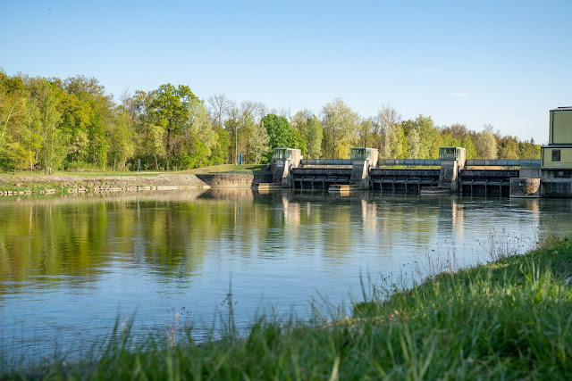 Premiumwanderweg DonAUwald | Etappe 2 von Offingen nach Gundelfingen 13