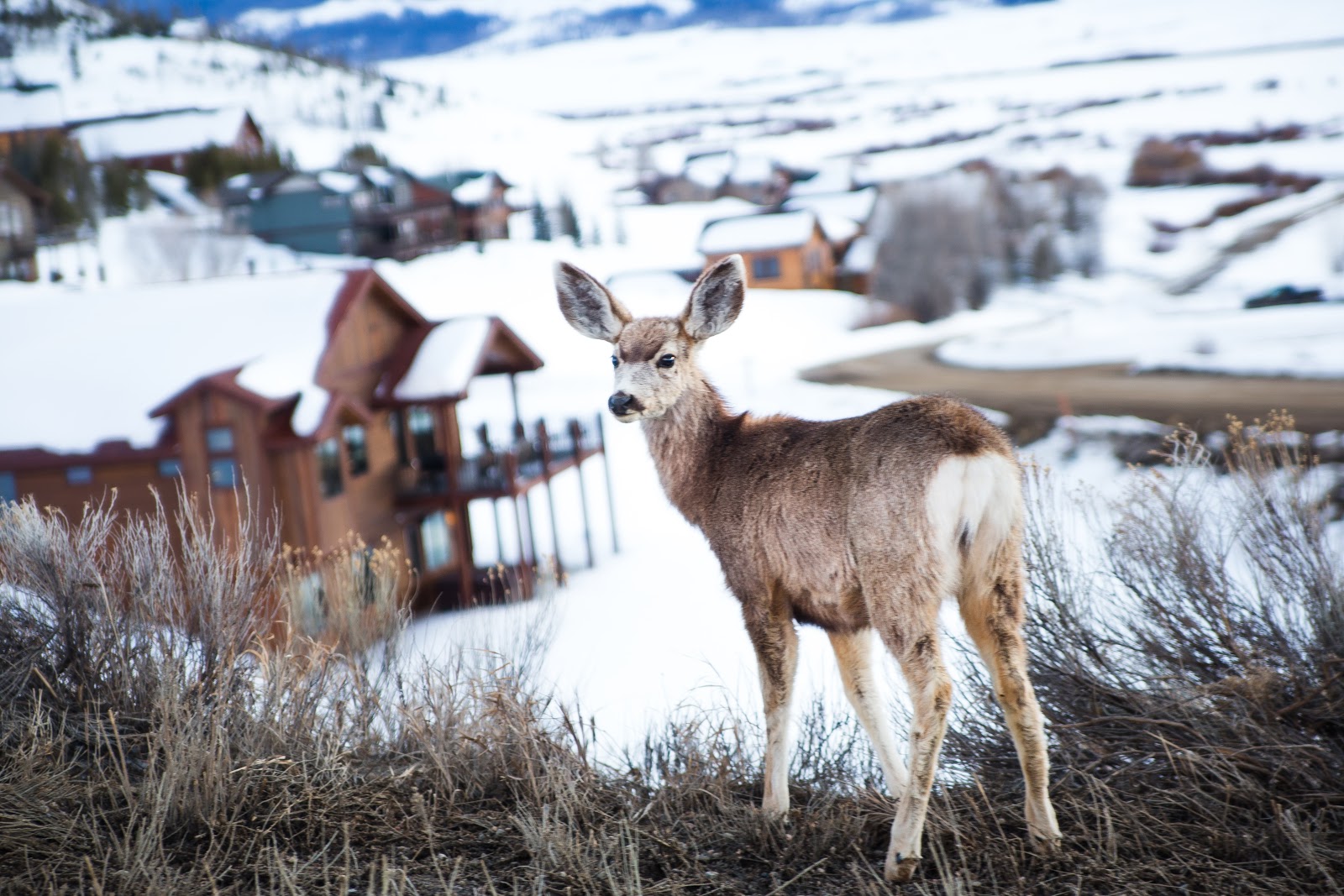 Zenfolio Christine's Camera Annual Tubing Trip to Granby