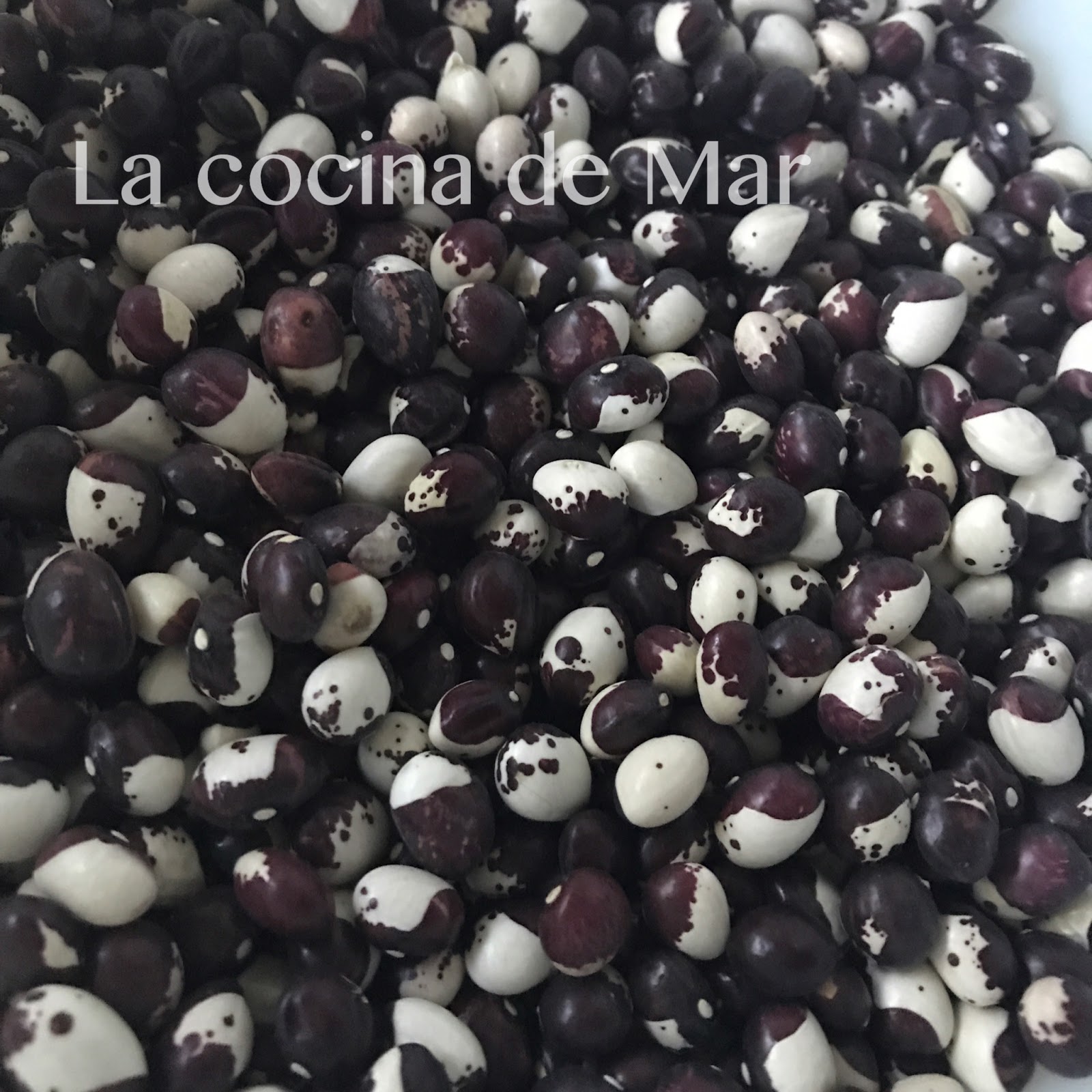 La cocina de Mar CAPARRONES RIOJANOS