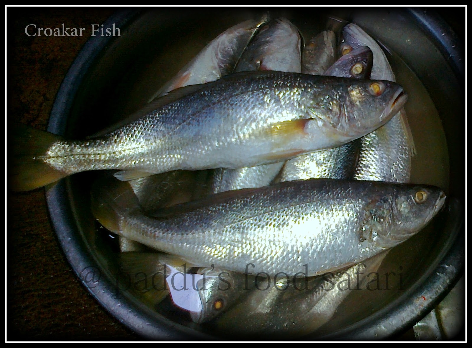 gHara javaN (Home Food) Croakar Fish Rawa Fry [KonkaniDodyaro (Hodki