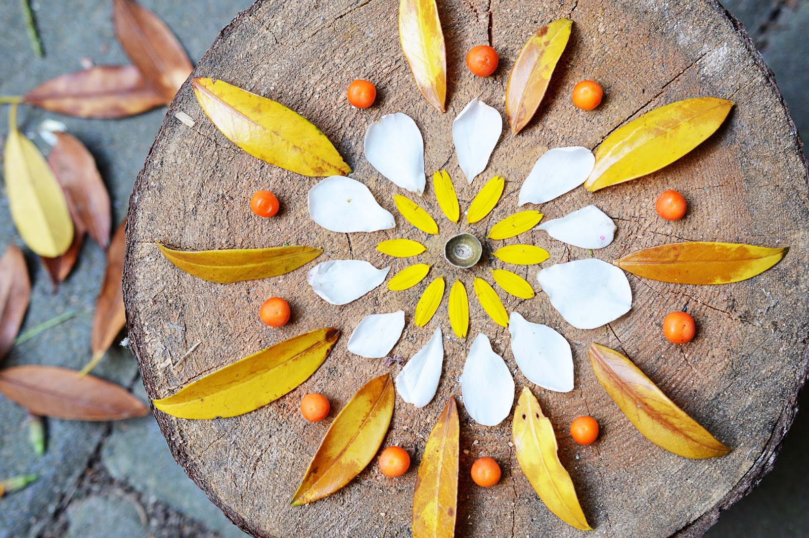 DIY NATURE MANDALAS Motte