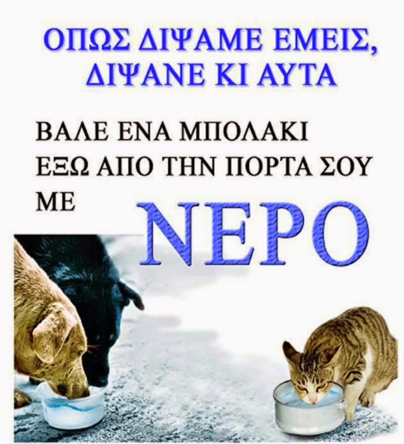 Μας χρειάζονται το καλοκαίρι!