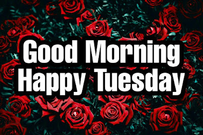 good morning tuesday images with flower