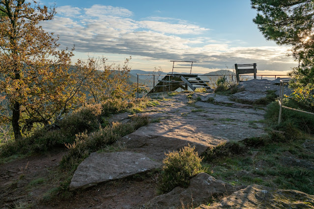 Birkweiler Rundwanderweg Hohenberg | Wandern Südliche Weinstrasse | Landau-Land 14