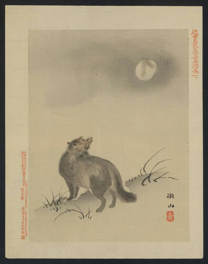 lobo Japón, dios alimaña