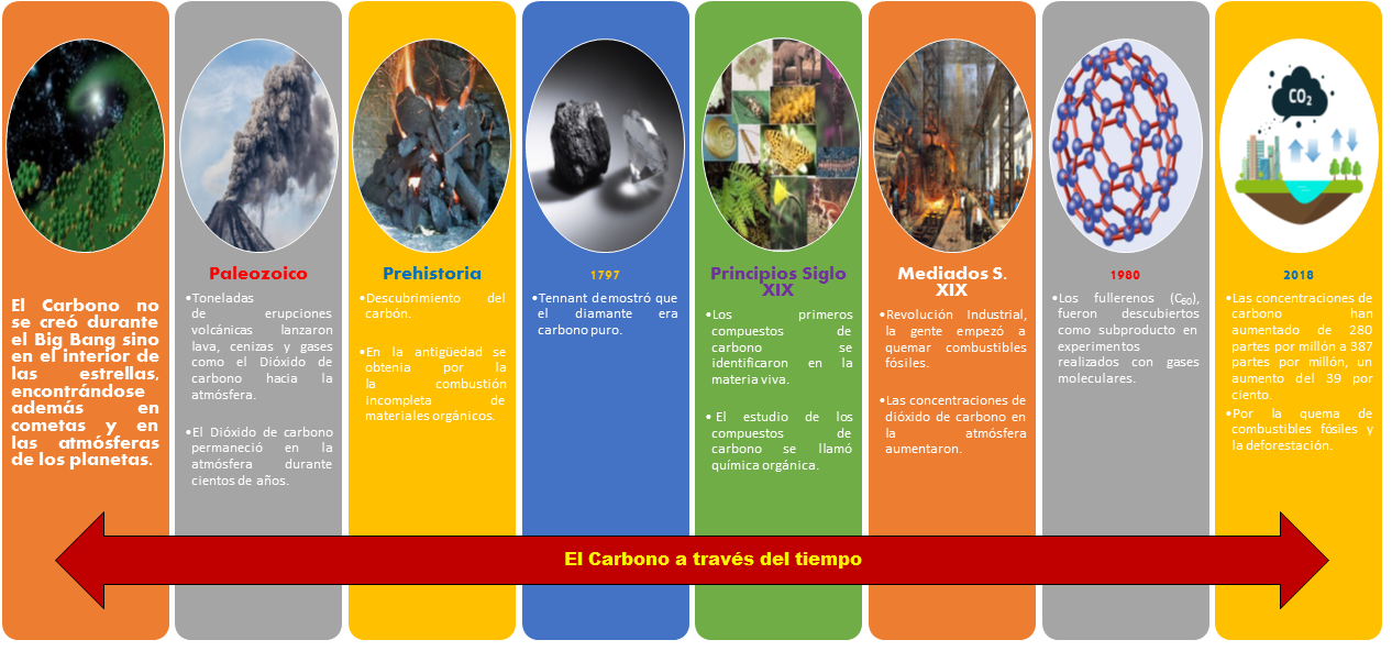 cienciamasconciencia Ciclo Biogeoquímico del Carbono