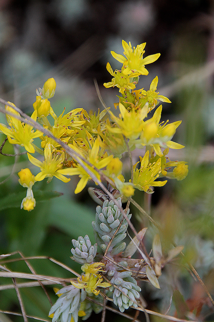 Mein Langer Weg Nach Lauffen Am Neckar
