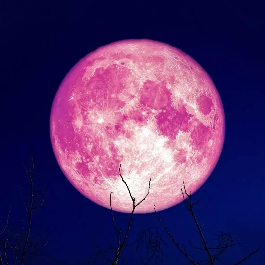 Есть розовая луна. Розовая Луна. Рощовая Луня. Розовое полнолуние. Клубничное полнолуние.